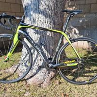 Bici da strada Dynatek in carbonio