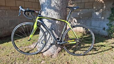 Bici da strada Dynatek in carbonio