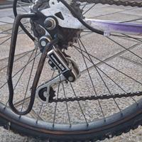 Bicicletta
