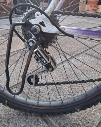 Bicicletta