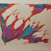 Giulio Turcato litografia originale 