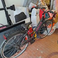 bicicletta frejus mai usata