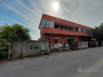 RGE 19/2024 Trib Pavia - LOTTO 2