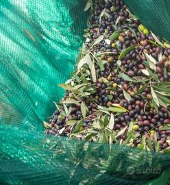 Rete raccolta olive 4 rotoli 4x250 metri 0,40€/mq