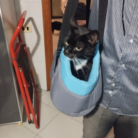 Borsa trasportino cagnolino