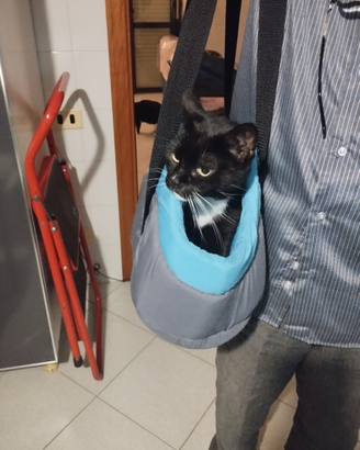 Borsa trasportino cagnolino