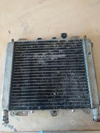 radiatore Beverly 300