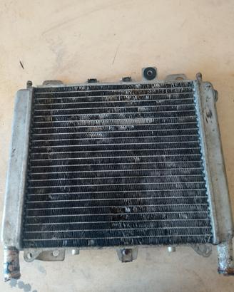radiatore Beverly 300