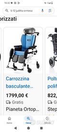 Sedie a rotelle