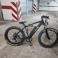 bici  elettrica  250w