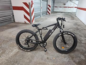 bici  elettrica  250w