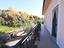 Immagine 7