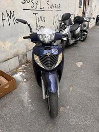 SH 2007 blu