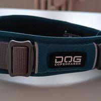 collare dog copenhagen per cani tg M