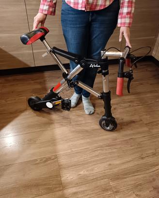 bici pieghevole 