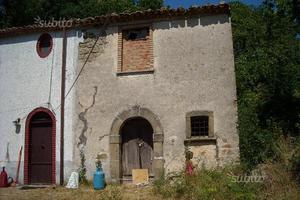 Rustico più terreni