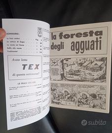 Fumetti ZAGOR 