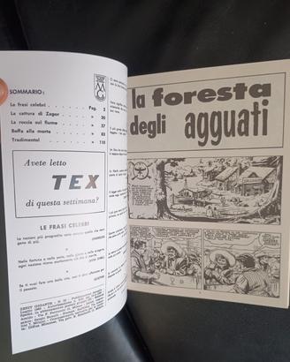 Fumetti ZAGOR 