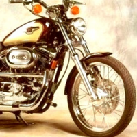 Harley 1200 Sportster Custom , 95 anniversario