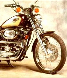 Harley 1200 Sportster Custom , 95 anniversario