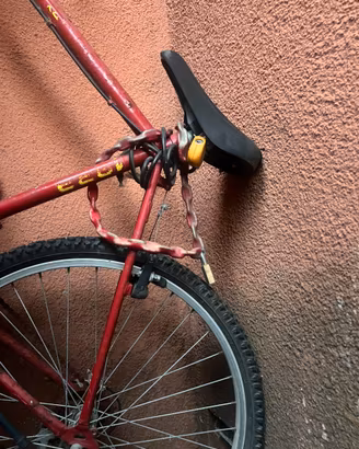 Mountain bike