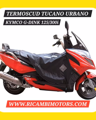 TERMOSCUDO KYMCO GRAND DINK 125 300