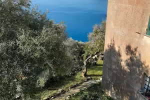 Vendita Rustico