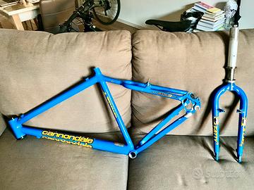 Telaio Cannindale
