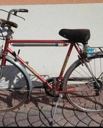 Bicicletta 