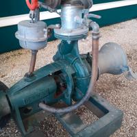 Pompa Caprari Mec.A3/80A ideale per irrigazione