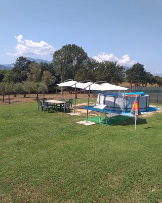 Piscina fuori terra+ ombrelloni 