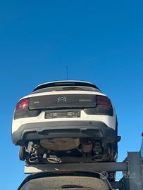 RICAMBI C4 CACTUS