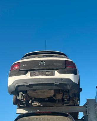 RICAMBI C4 CACTUS