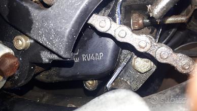 Aprilia 50 Red Rose Fitfy