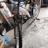 bicicletta  Shimano 21 rapporti