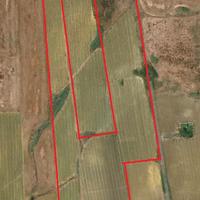 Terreno con fabbricato, Vigneto e Seminativo