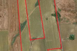 Terreno con fabbricato, Vigneto e Seminativo