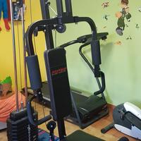 palestra