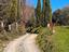 Immagine 20