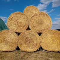 Rotoli di fieno