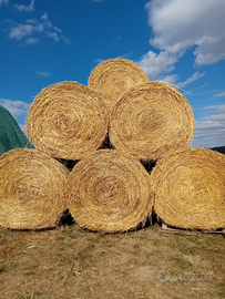 Rotoli di fieno