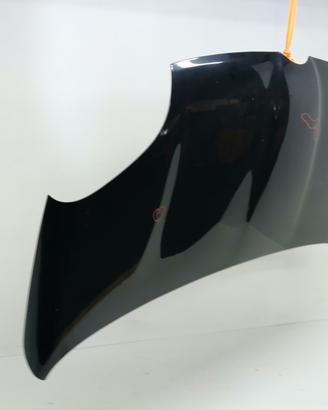 COFANO ANTERIORE FIAT Panda 3° Serie 51841736 (12