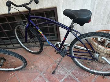 Bicicletta wheeline USA