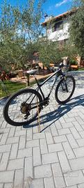 bicicletta mtb