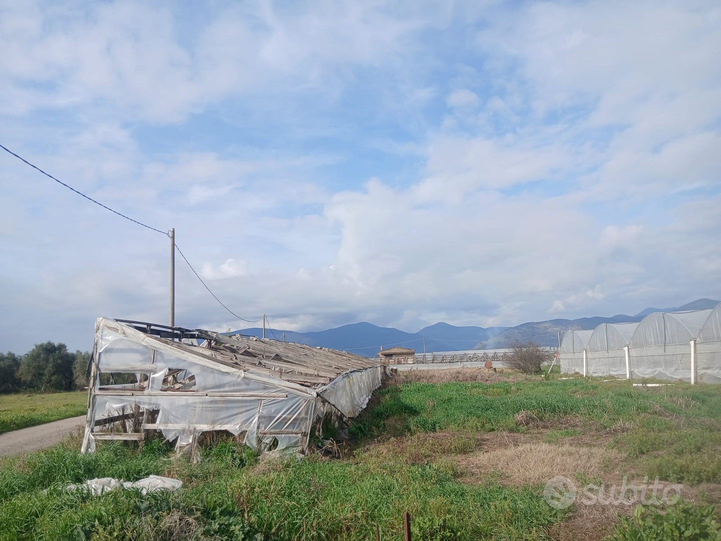 Terreno agricolo seminativo - Vista 2