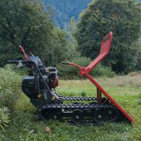 motocariola fortf400