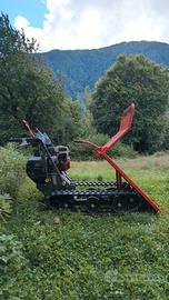 motocariola fortf400