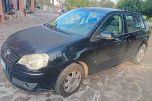 Auto polo