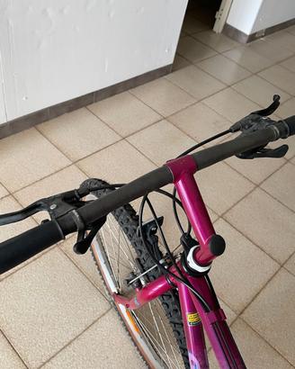 Bicicletta Mountain bike GIANT TERRAGO