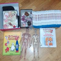 Esplorando il corpo umano: Libri DVD Gioco Modelli